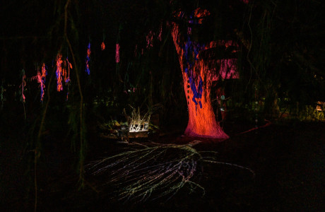 בין הזמנים (רחוב)